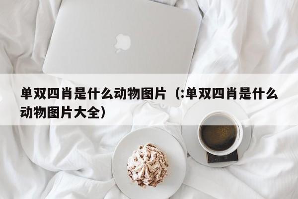 单双四肖是什么动物图片（:单双四肖是什么动物图片大全）